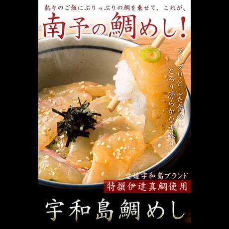 宇和島郷土料理  鯛めし 4食入りセット
