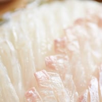 宇和島産 ヒラメ 短冊  1尾分 約400g　※皮は取り除いております。