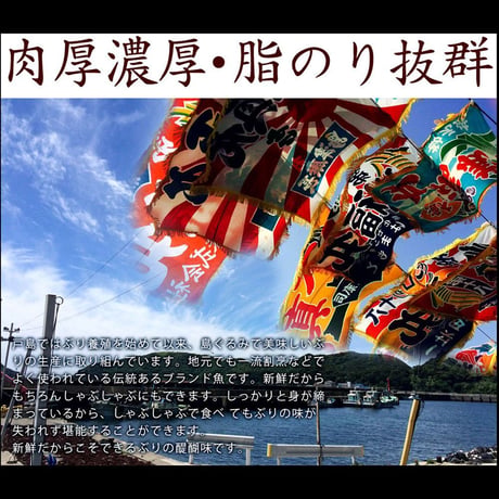 11.1解禁！！戸島ぶりしゃぶしゃぶセット 3人前