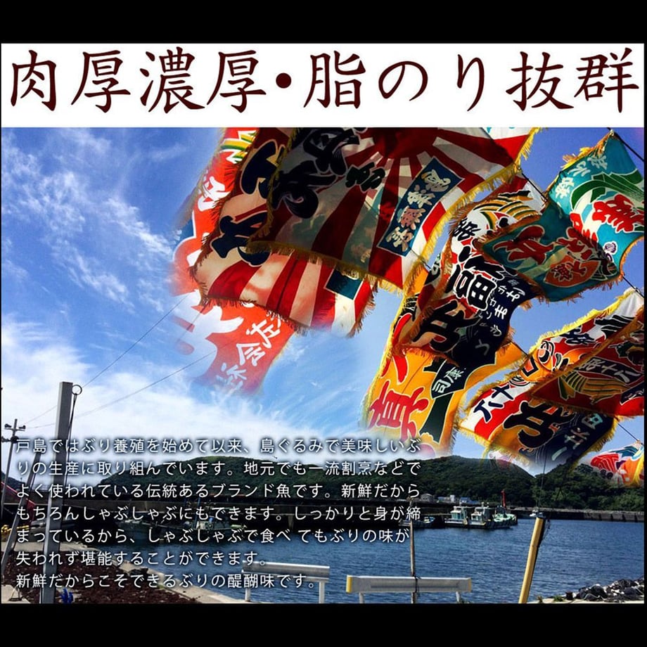 5fb6e5d78a457273e3b9a1a8