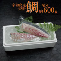 宇和島産 伊達真鯛 短冊 1尾分 約600g　※皮は取り除いております。