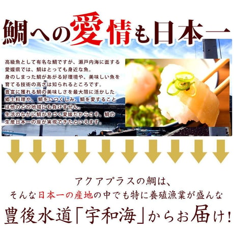 宇和島郷土料理  鯛めし 4食入りセット