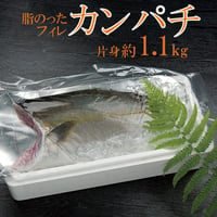 脂のったカンパチ フィレ 片身 約1.1kg