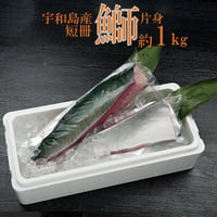 11.1解禁！！戸島ぶり 短冊 約1kg 片身 　※皮は取り除いております。