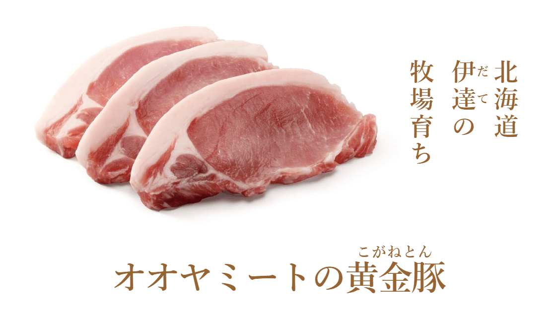 はじめまして！