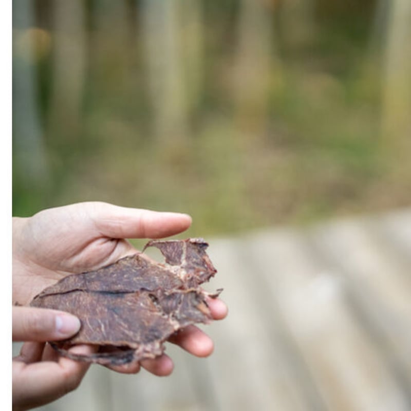 鹿肉ジャーキー(40g)【小さなお散歩バッグにも入ります】 | Guu