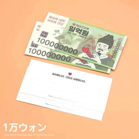 【韓国製】韓国ウォン封筒セット（全２種）