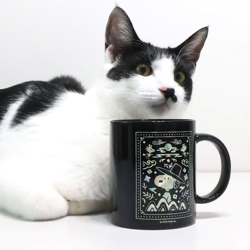 韓国限定SNOOPY】螺鈿スタイルマグカップ（全2種） | サランバン