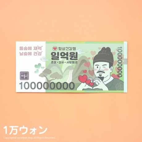 【韓国製】韓国ウォン封筒セット（全２種）