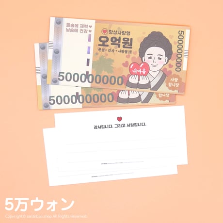 【韓国製】韓国ウォン封筒セット（全２種）