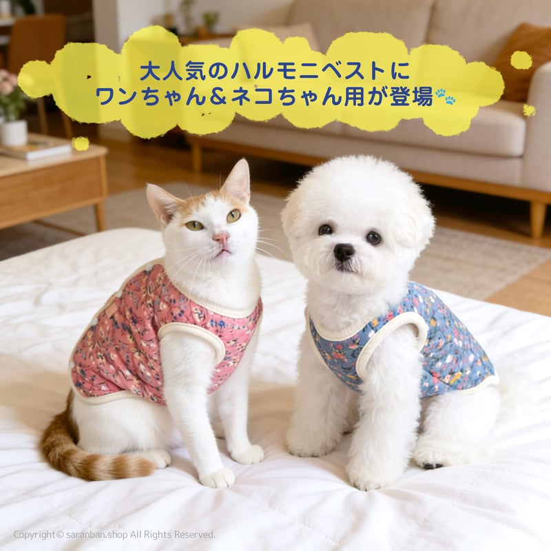 もちもちベスト（小型犬・猫用） | サランバン～まいにち韓国気分～