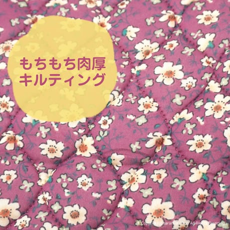 ハルモニのもちもちベスト（全３種）