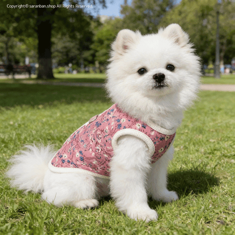 STORES 猫の検索結果