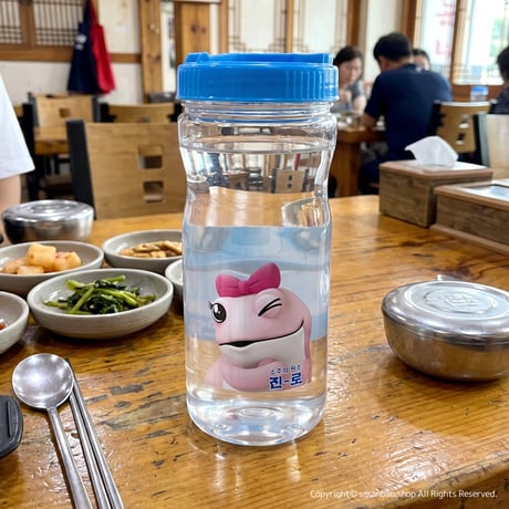 ✦訳あり品✦  【韓国眞露×TERRA】ウォーターボトル