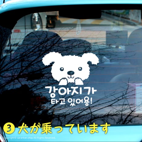 愛車を韓国風にカスタマイズ♪ハングル車ステッカー