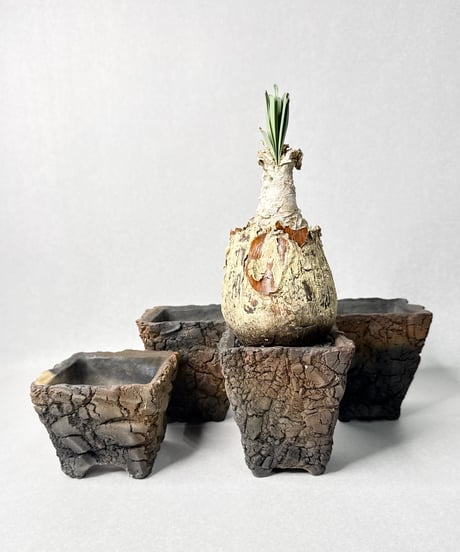 宮島將實 鉢作品 １３