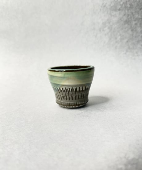 日照雨・ＳＳ  2026