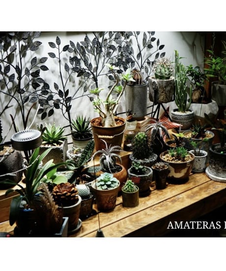 AMATERAS LED 20W
