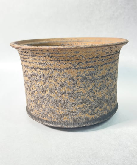 CATEGORY dairoku | t.roots