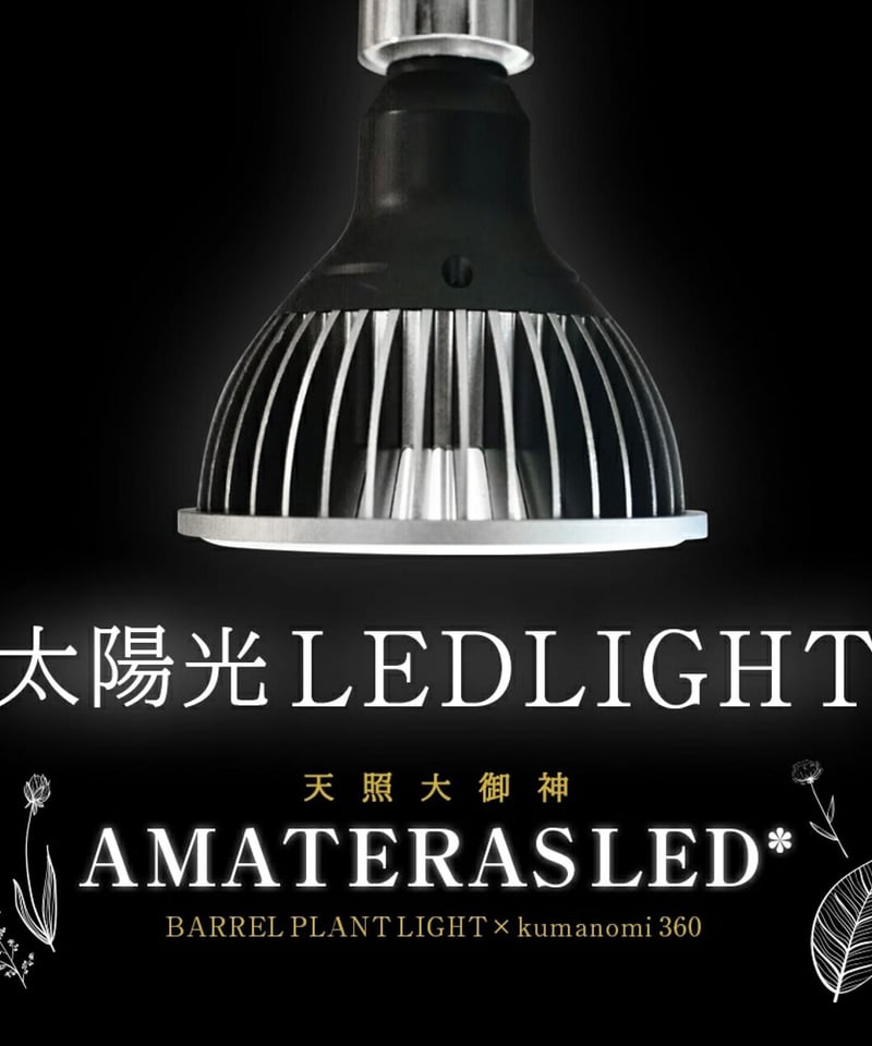 新品 未使用 天照大御神 アマテラス LED 360 20W-