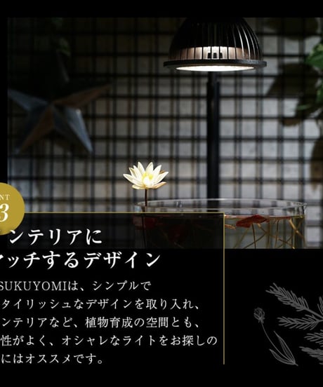 TSUKUYOMI LED 20W