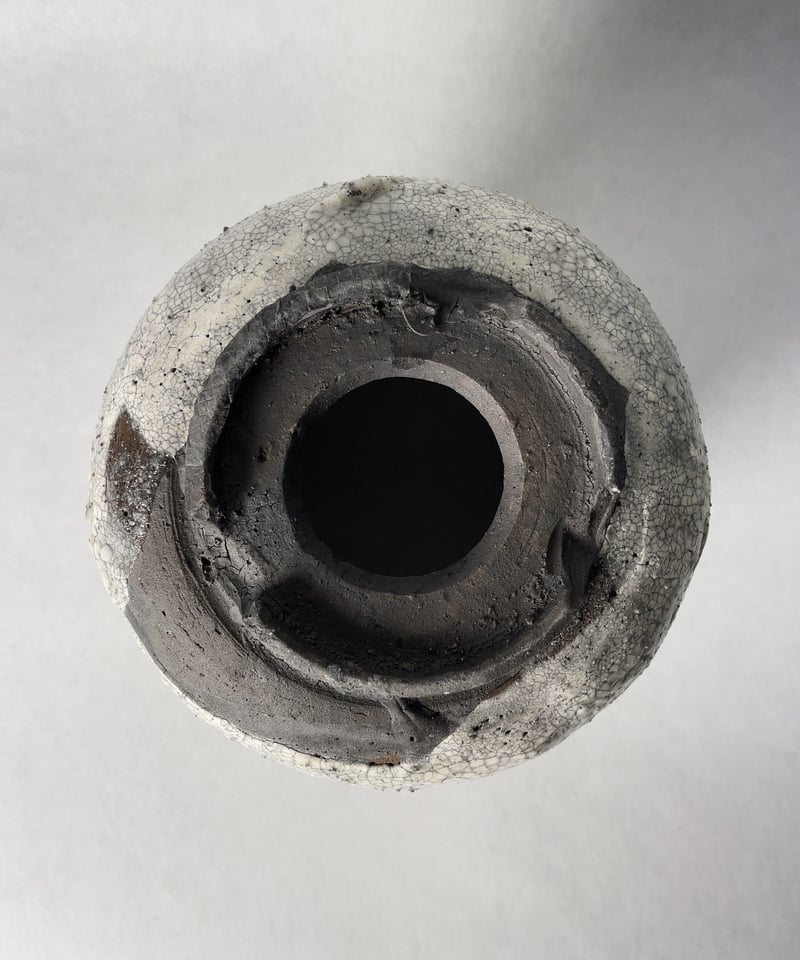 オールド株　大株　オベサ　姫野翔太鉢付き オールド株 大株 オベサ 姫野翔太鉢付き