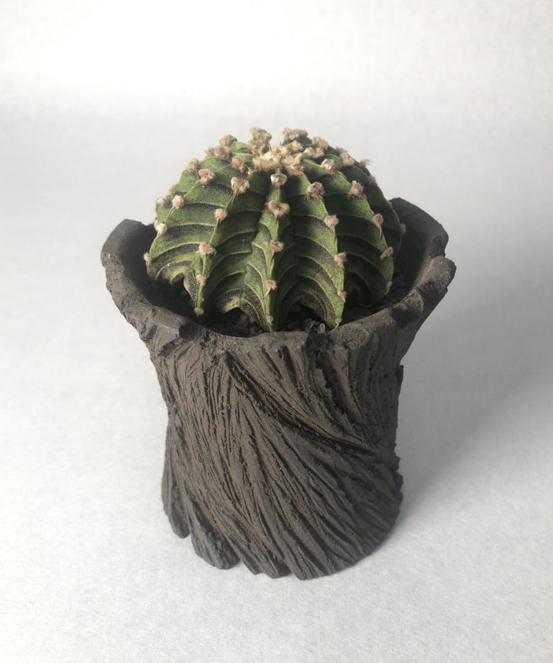 新品 TRIGGER & KIKKO 吉光窯 限定 植木鉢 HUSIME XL