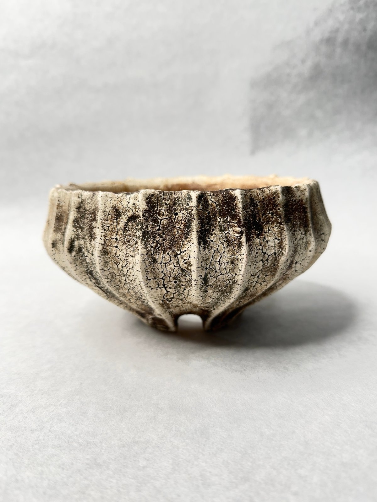 石塚花弓・粉引鉢 | t.roots