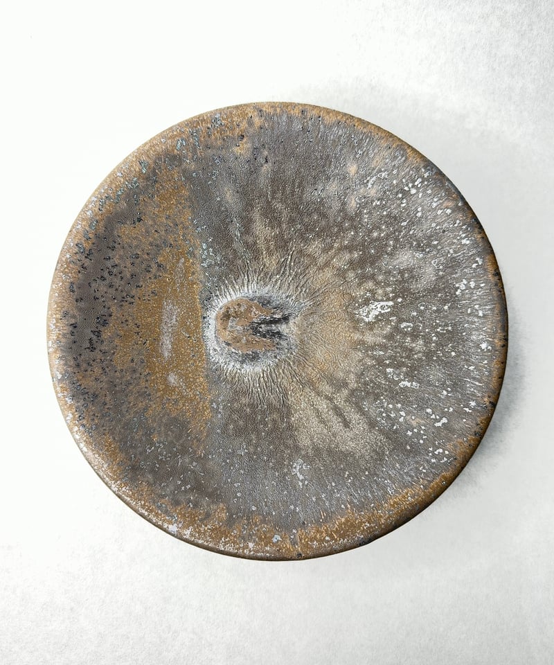 姫野翔太・金彩パスタ皿 | t.roots