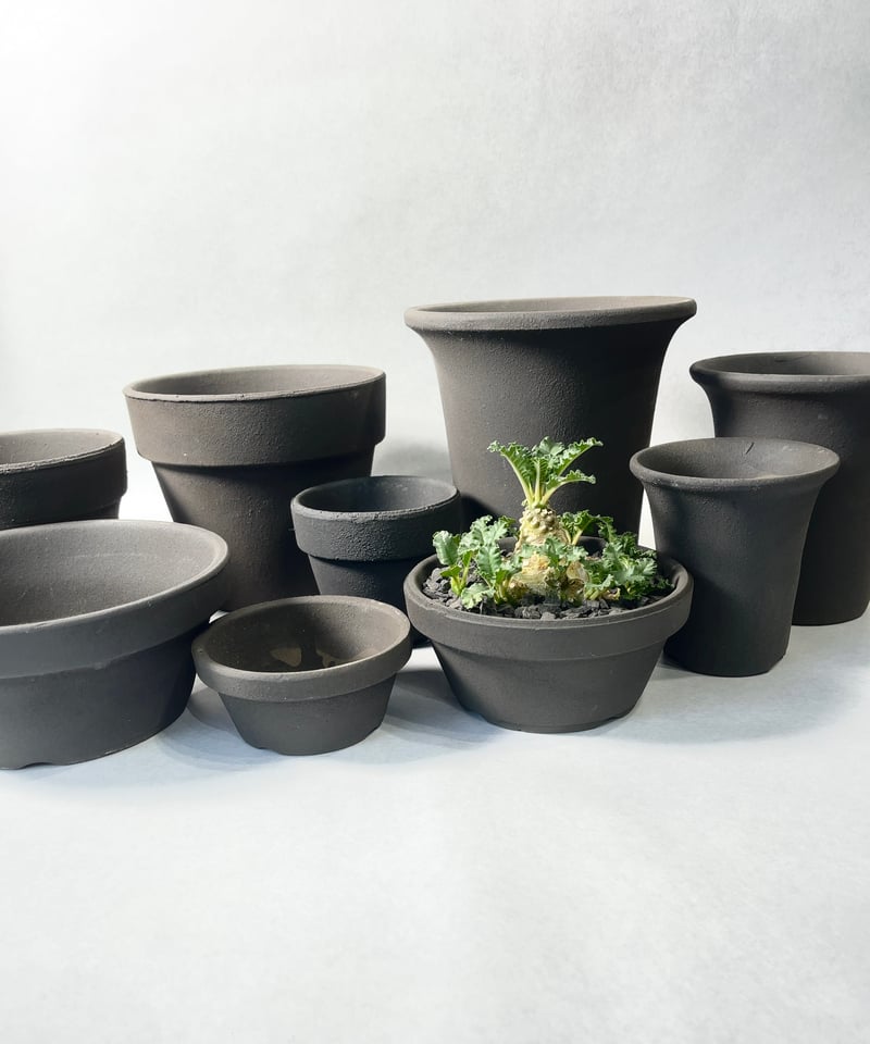 黒燻蘭鉢・M | t.roots