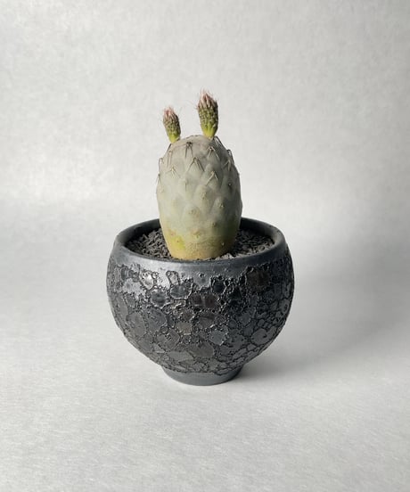 中川智治１