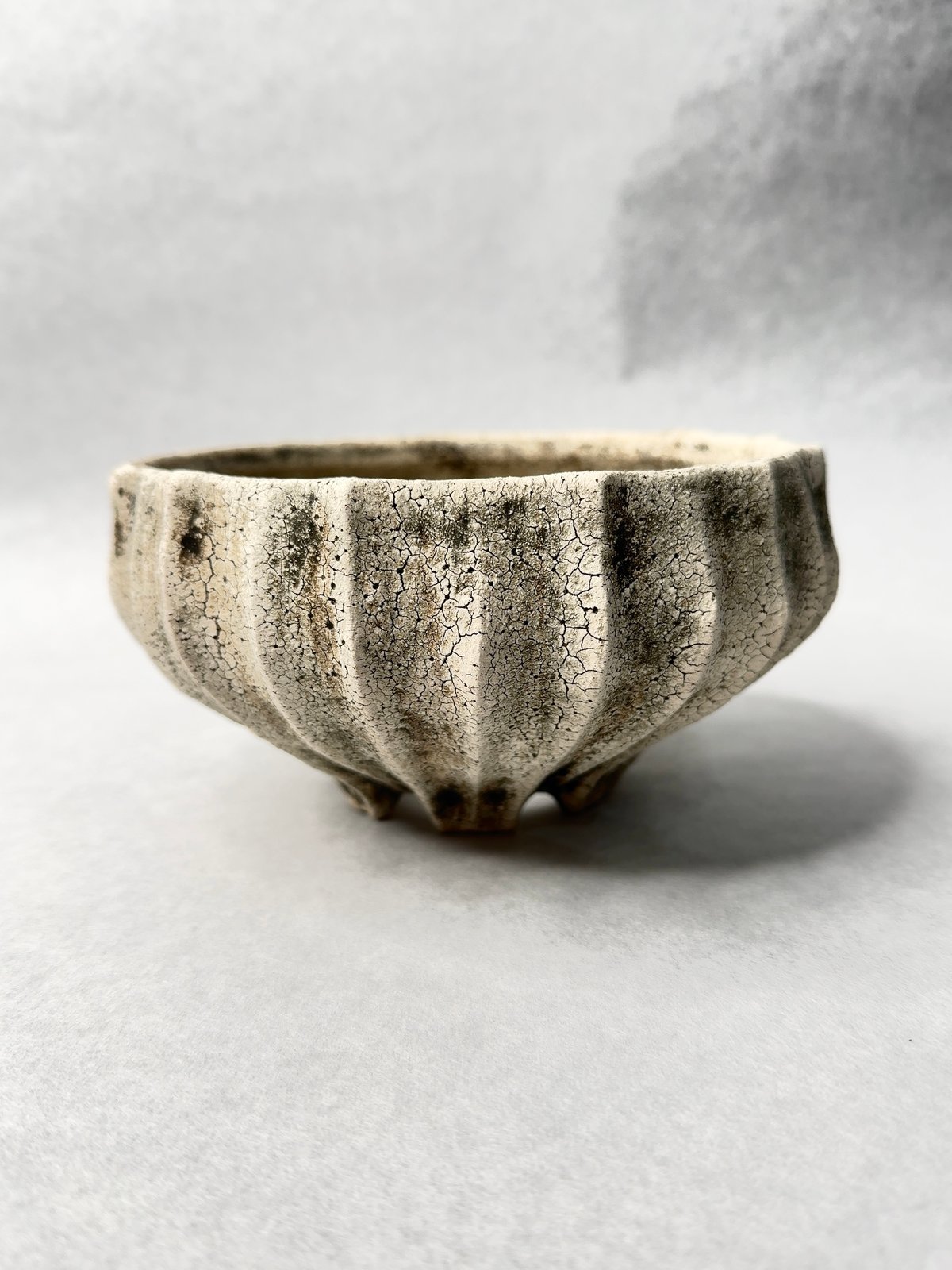 石塚花弓・粉引鉢 | t.roots