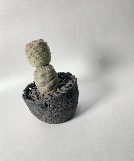 錆び釉まる鉢・Ｌ