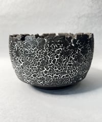 姫野翔太 | t.roots