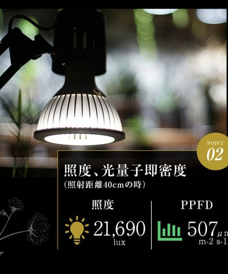TSUKUYOMI LED 20W