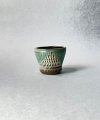 日照雨・ＳＳ  2026
