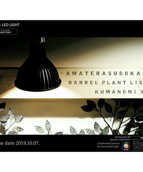 AMATERAS LED 10W