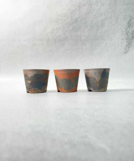 NOBORIBI BLACK・ＳＳ １