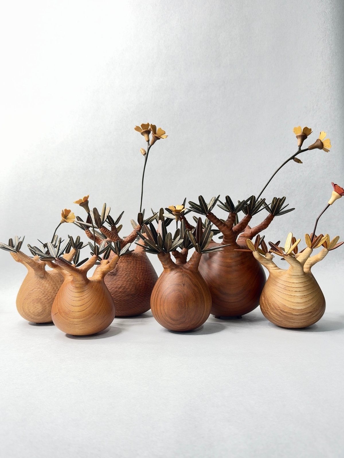 N*I様 落札キャンセルによる再出品 MOCMOC グラキリス　木製　枯れないグ MOCMOC・パキポディウム | t.roots
