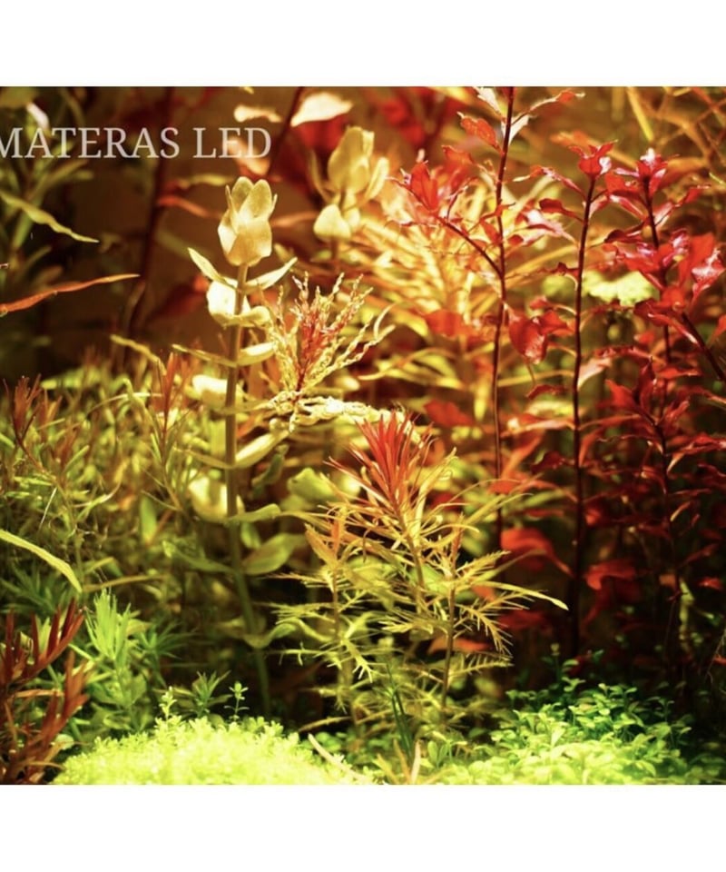 AMATERAS LED 20W | t.roots AMATERAS LED 20W | t.roots