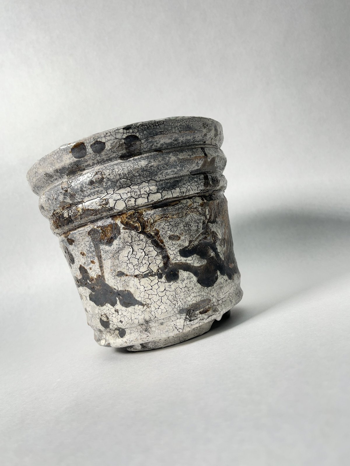 姫野翔太　陶器鉢 鉢】姫野 翔太 vamos 銀彩 陶作 陶器鉢 | A-PLANTS|塊根植物販売