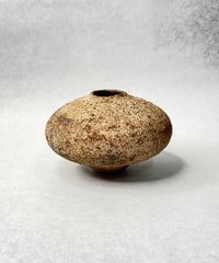 青木宏 土の種子