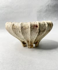 石塚花弓・粉引鉢