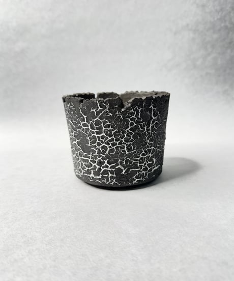 CATEGORY 雷土 | t.roots