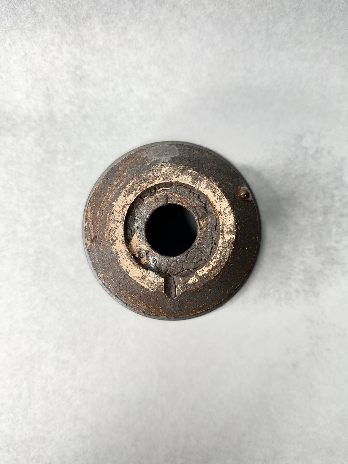 姫野翔太・BLACKSTAR Noppo | t.roots