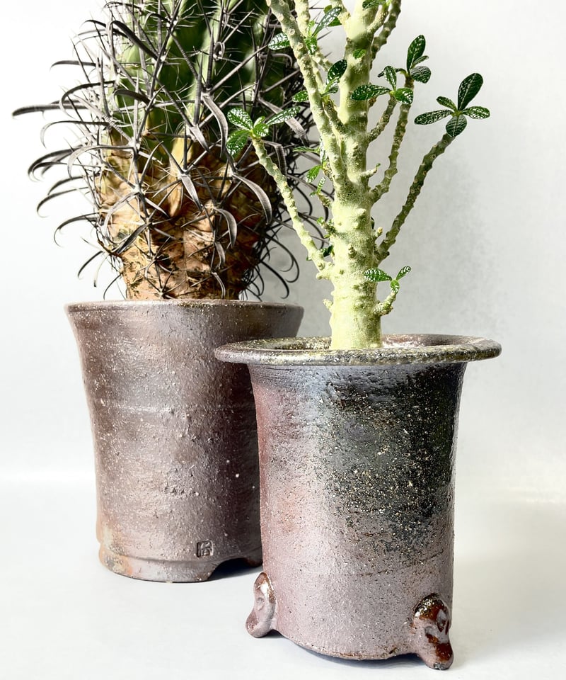 伝市鉢 & 備前焼bizen_pot &新品作家鉢 4号浅鉢】再生備前鉢 (4ｱ 12-11) | banksiaworks