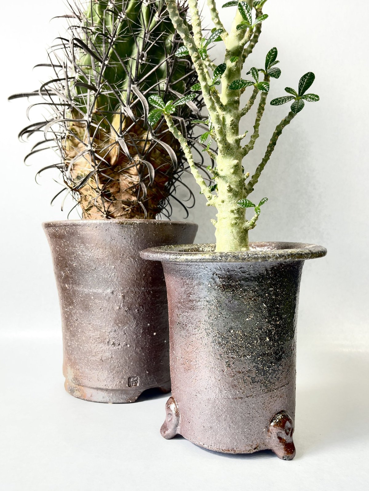 多肉植物用鉢　一品物　穴窯自然釉 多肉植物用鉢 一品物 穴窯自然釉 【公式通販】