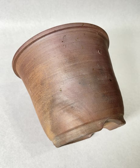 伝市窯・丸型6号(登り窯焼)