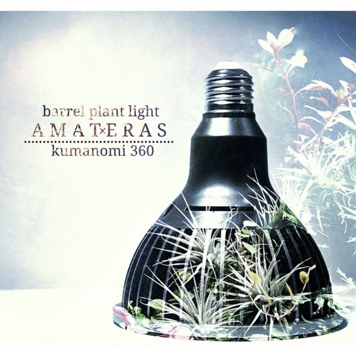 AMATERAS LED 20W | t.roots AMATERAS LED 20W | t.roots