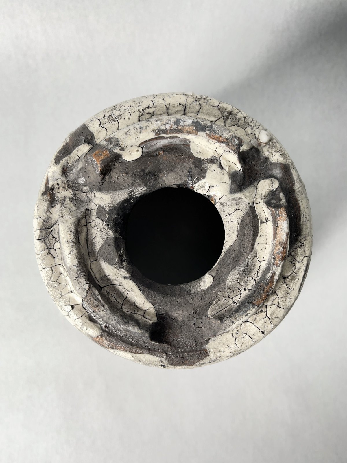 姫野翔太 | t.roots